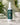 Eau magique | 100% pur biologique