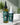Double Magic| Men Hair Growth Oil and Magic Water