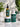 Men’s Hair Growth & Hydration Set | From Care to Cleaning