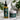 Men Hair growth Oil & Chebe Butter | double magic